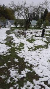 IMG-20250502-WA0003.jpg