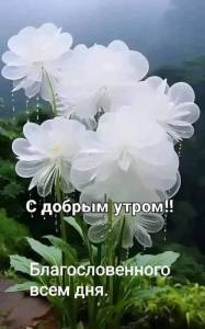 IMG-20250504-WA0000.jpg