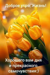 IMG-20250507-WA0037.jpg