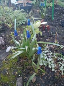 IMG-20250508-WA0017.jpg