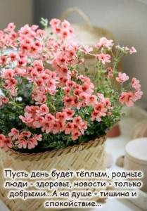 IMG-20250512-WA0004.jpg
