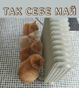 IMG-20250513-WA0000.jpg