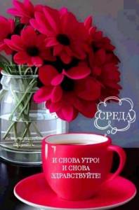IMG-20250514-WA0000.jpg