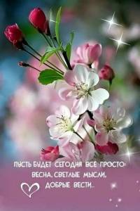 IMG-20250515-WA0000.jpg