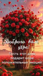 IMG-20250515-WA0001.jpg