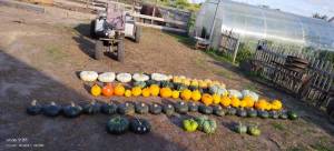 IMG-20250515-WA0058.thumb.jpg.0acc6be435ba4d7377e5d952876c25c5.jpg