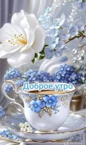 IMG-20250516-WA0001.jpg