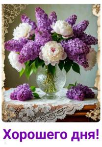 IMG-20250516-WA0005.thumb.jpg.0932fd9dbdd83e728bfe0d428e8e13c1.jpg