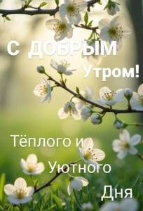 IMG-20250518-WA0004.jpg
