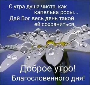 IMG-20250525-WA0003.jpg