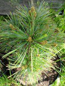 IMG-20250527-WA0022.jpg