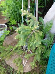 IMG-20250527-WA0049.jpg