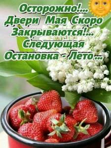 IMG-20250530-WA0002.jpg