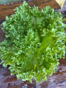 IMG_0246.jpeg