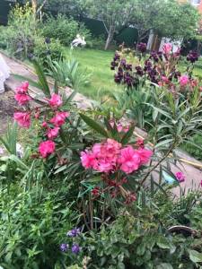 IMG_0577.jpeg