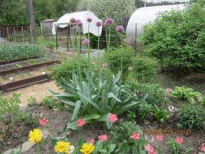 IMG_0693.thumb.JPG.b3e641f4160f01102575e4156f3a4c1c.JPG
