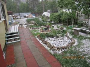 IMG_0712.thumb.JPG.5fa7deb7f58dc4d21227d76c59f3d55b.JPG