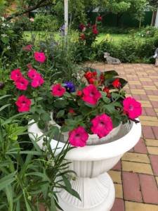 IMG_0789.jpeg