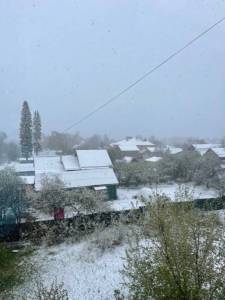 IMG_0948.jpeg