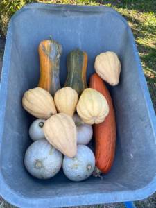 IMG_1571.jpeg