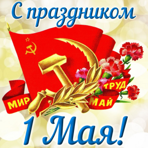 IMG_1773.png