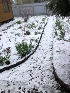 IMG_1778.jpeg