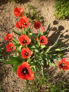 IMG_20230517_163845.jpg