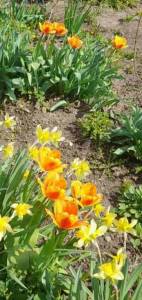 IMG_20241214_175357.jpg