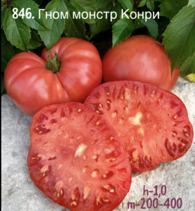 IMG_20250130_024535.thumb.png.ffa6a3af26165e9416832203e2e7a77f.png