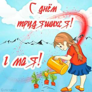 IMG_20250501_054739_910.thumb.jpg.472b1429b0fb678c5364ac3d052c236a.jpg