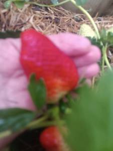 IMG_20250510_142140.thumb.jpg.925dc2b350cebb72afe8f430b9908f80.jpg