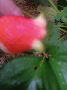 IMG_20250510_142301.jpg