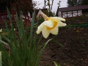 IMG_20250513_145721.thumb.jpg.ddc5f095735c4d7c03f87c305afad4f3.jpg