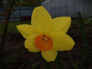 IMG_20250513_145752.thumb.jpg.06cbd1778ff4856d7fa3213b0278b1c8.jpg
