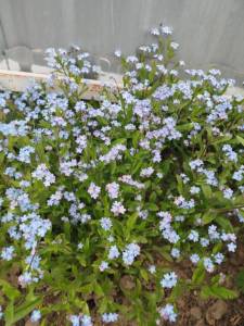 IMG_20250514_125326.jpg