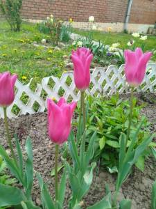IMG_20250514_125601.jpg