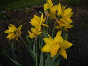 IMG_20250516_184451.jpg