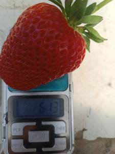 IMG_20250521_120139.jpg