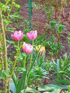 IMG_20250523_134836_959.jpg