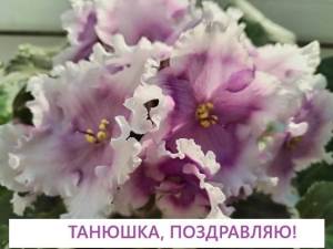 IMG_20250523_190323.thumb.jpg.5e7d83625c30f87ebcdf305bd903fbce.jpg