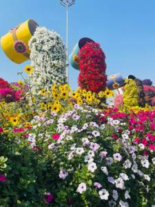 IMG_3257.jpeg