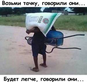 IMG_3323.jpeg