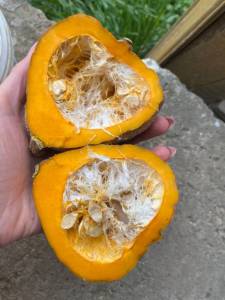 IMG_3380.thumb.jpeg.5d065649d3b85f3edbf0e7bfbd0cb4e4.jpeg