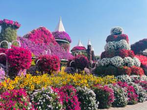 IMG_3392.jpeg