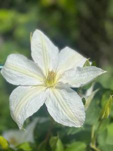 IMG_5726.jpeg
