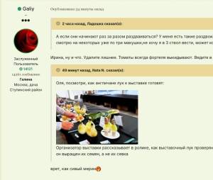 IMG_6907.jpeg