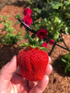 IMG_7786.jpeg