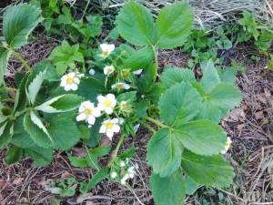 IMG_COM_202505261536275103.jpg