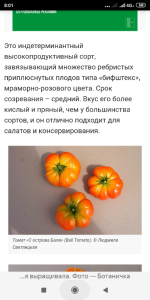 Screenshot_2025-05-10-08-01-24-800_com.yandex.browser.png