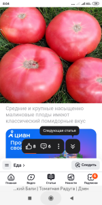 Screenshot_2025-05-10-08-04-00-864_com.yandex.browser.png